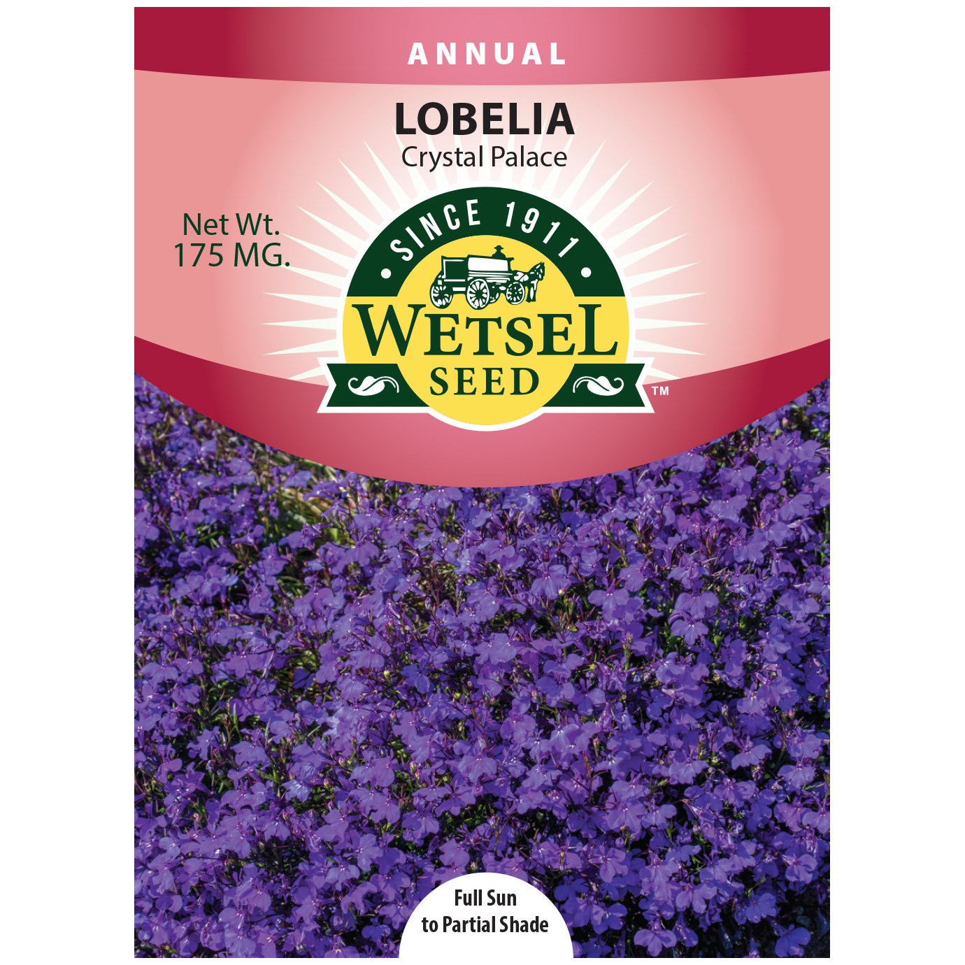 Lobelia, Crystal Palace 175mg — priced per each; minimum 5; multiples of 5