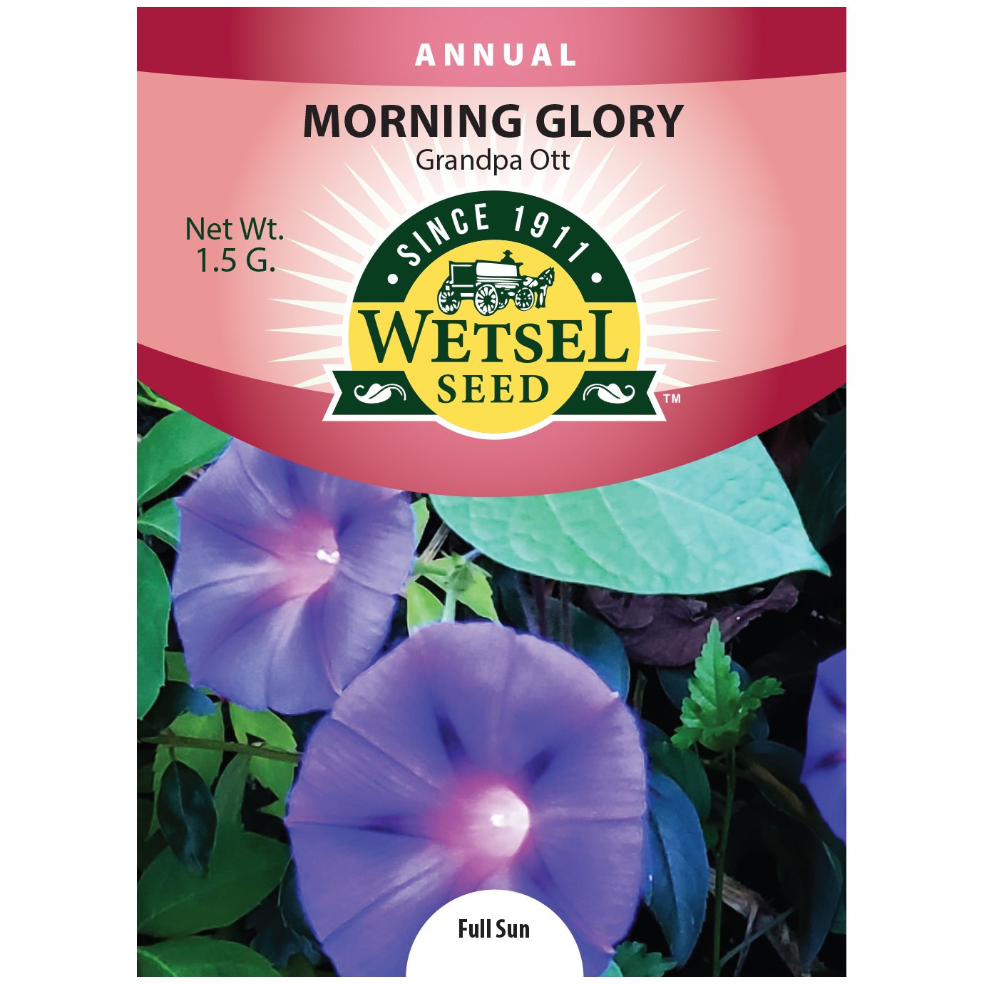 Morning Glory, Grandpa Ott 1.5 Grams — priced per each; minimum 5; multiples of 5