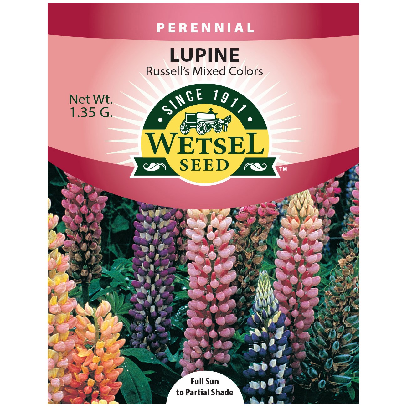 Lupine, Russell's Mix 1.35 Grams — priced per each; minimum 5; multiples of 5