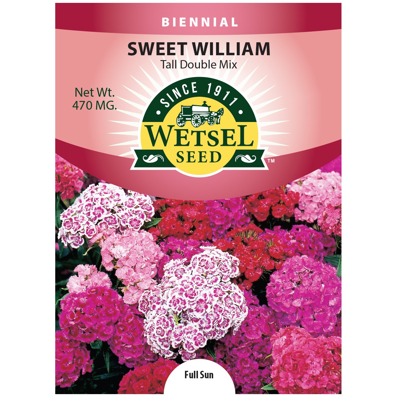 Sweet William, Tall Double Mix 470mg — priced per each; minimum 5; multiples of 5