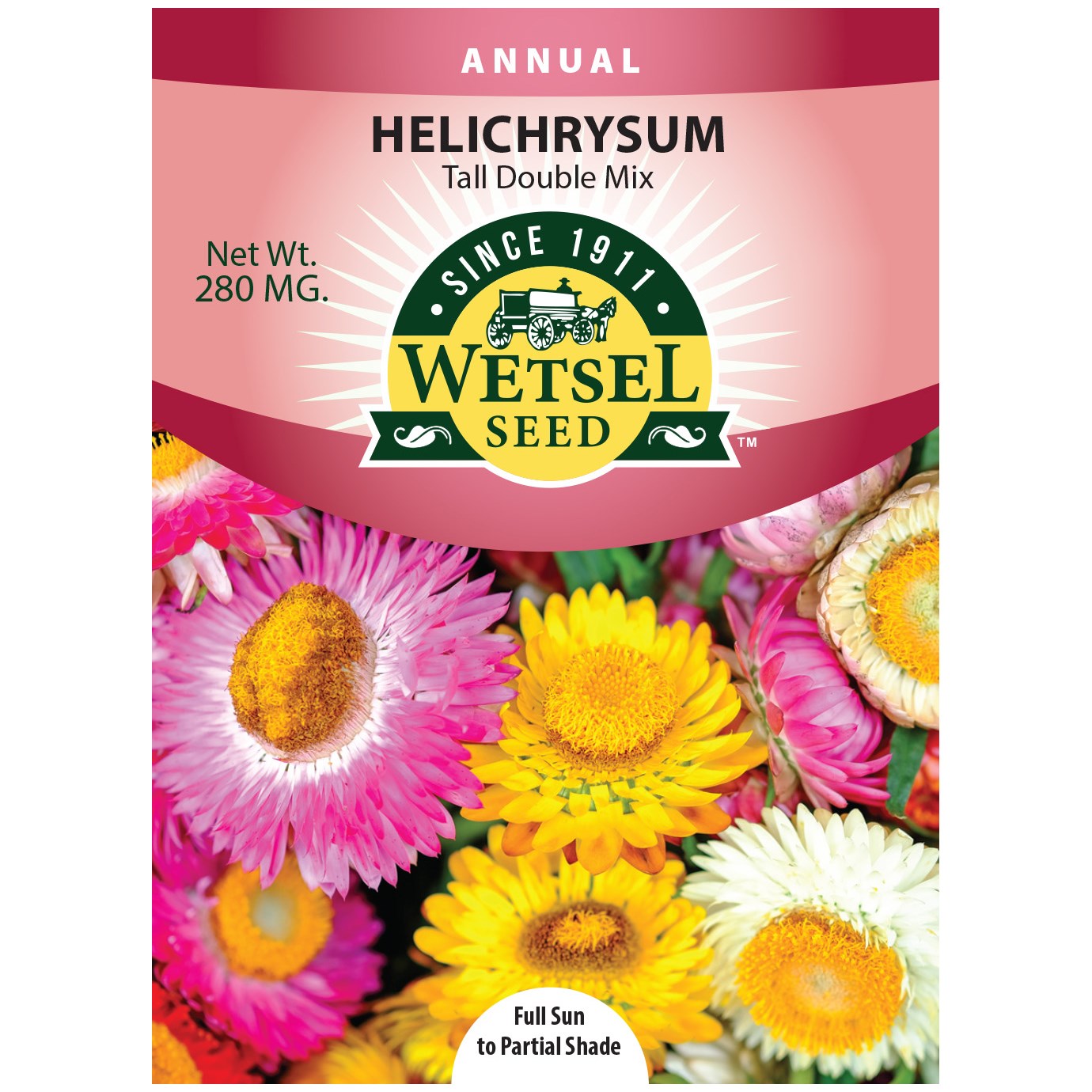 Helichrysum, Tall Double Mix 280mg — priced per each; minimum 5; multiples of 5