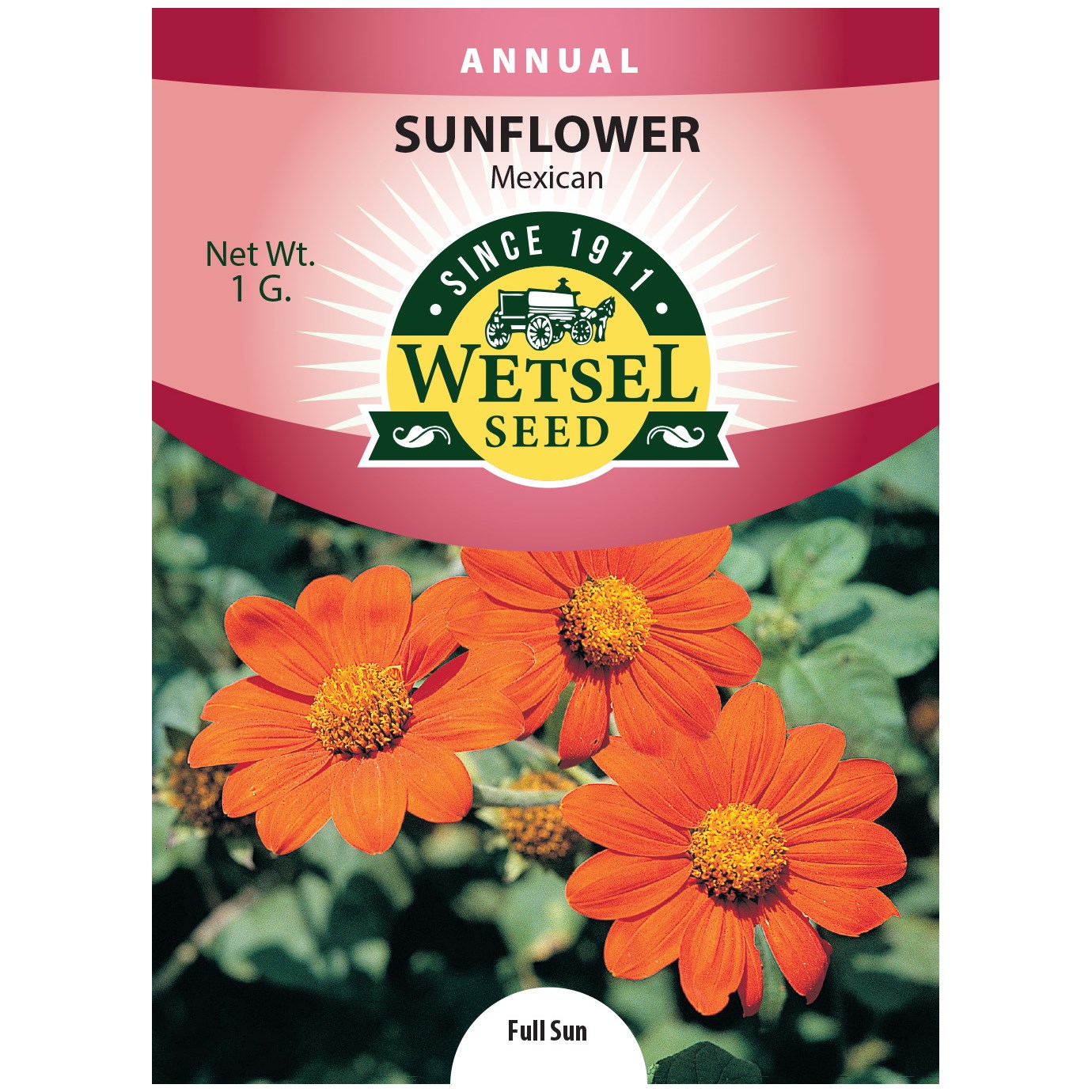 Sunflower, Mexican 1 Gram — priced per each; minimum 5; multiples of 5