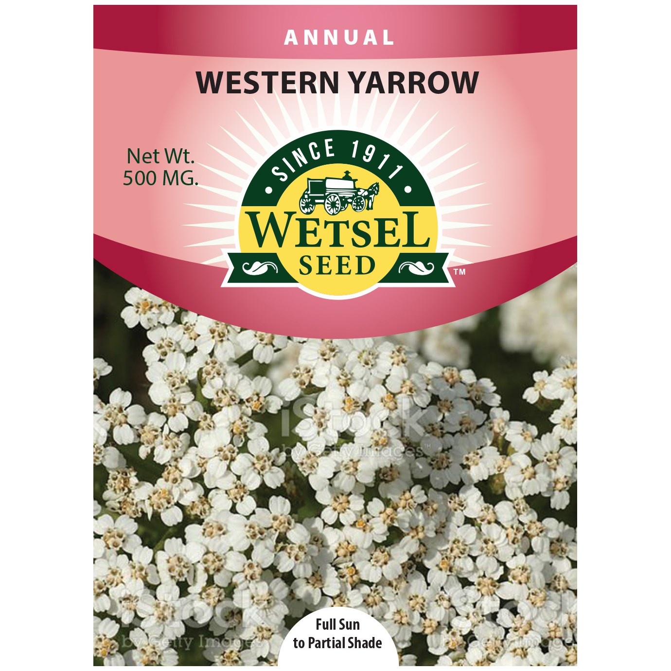 Western Yarrow 500mg — priced per each; minimum 5; multiples of 5