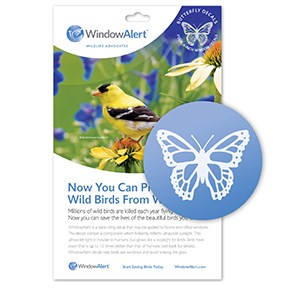 WindowAlert Butterfly UV-Reflective Anti-Collision Bird Deterrent Window Decal — priced per each; minimum 12; multiples of 12