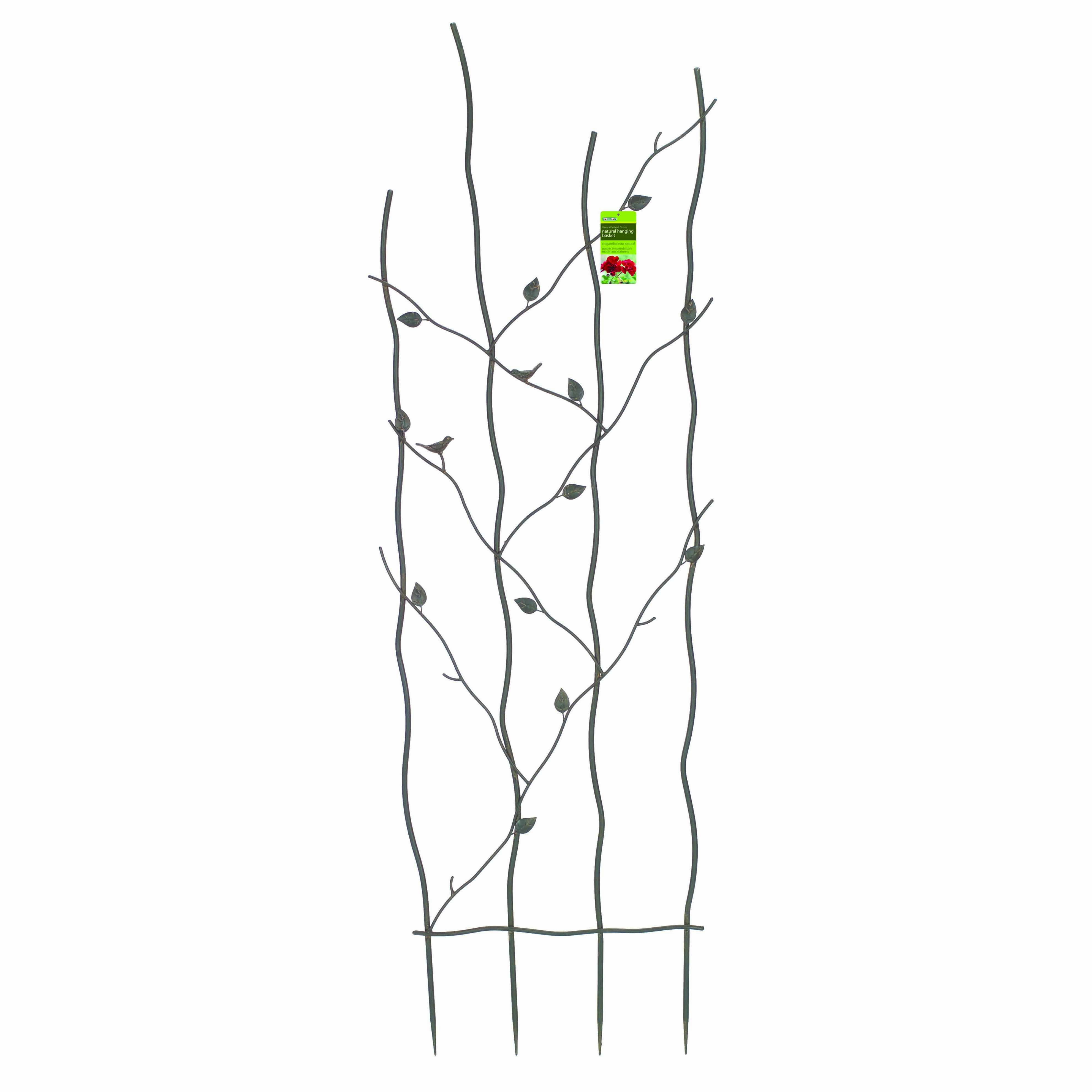 WSP 60" Nature Metal Trellis — priced per each; minimum 5; multiples of 5