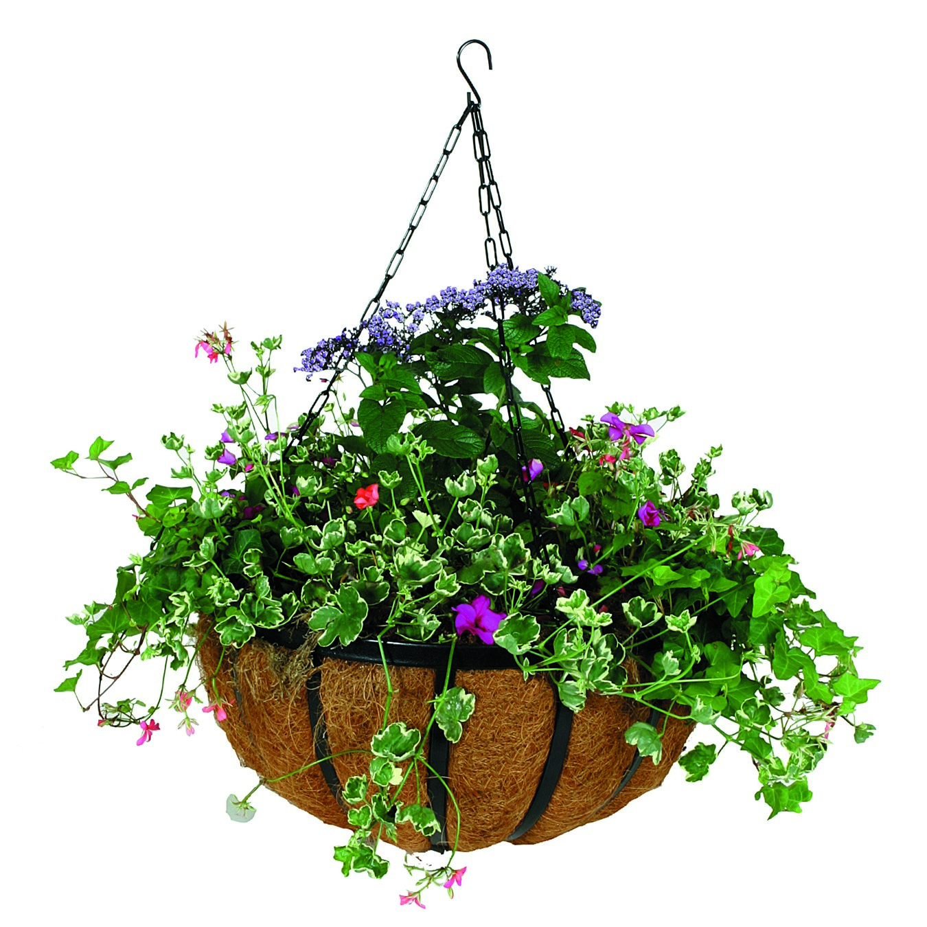WSP 14" Forge Hanging Basket With Coco Liner
