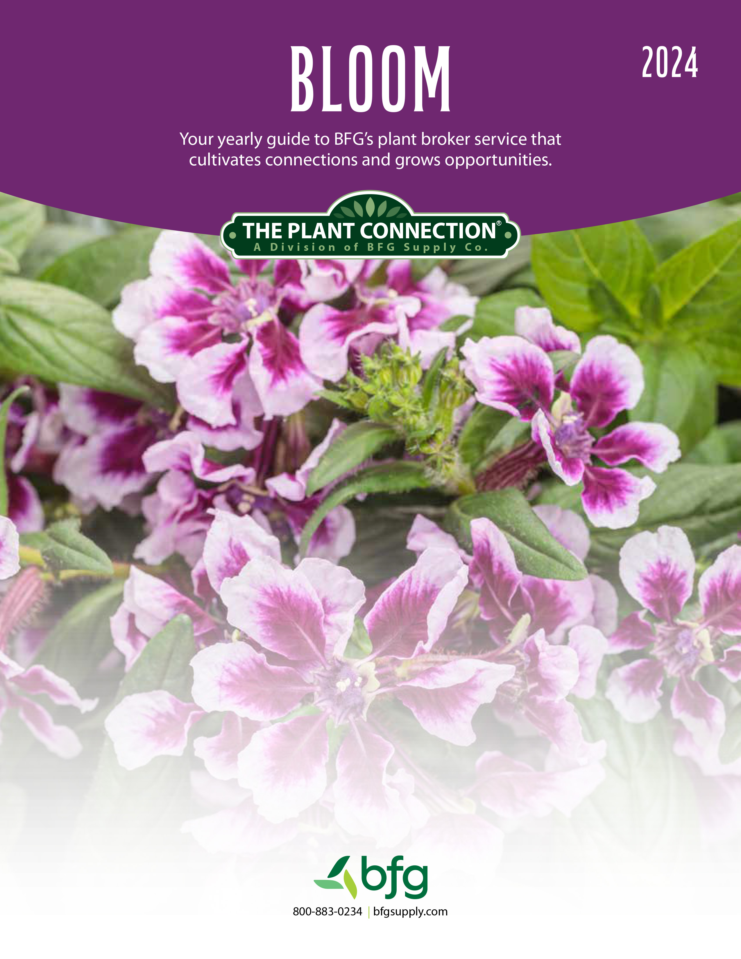 Catalogs and Flyers BFG Supply