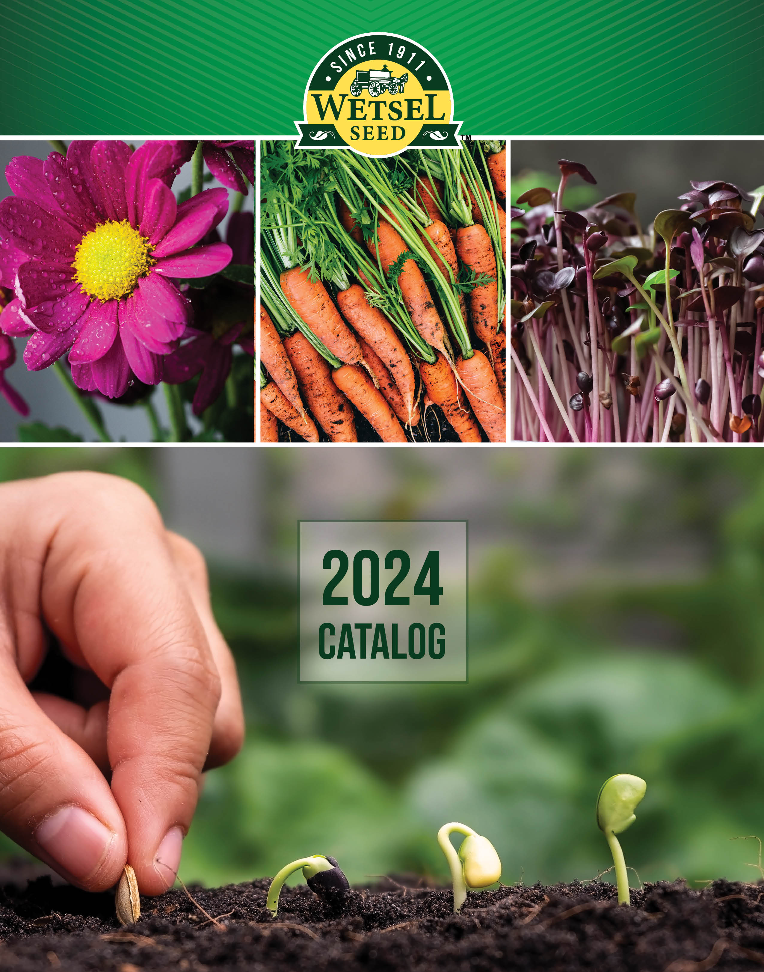 Catalogs and Flyers BFG Supply